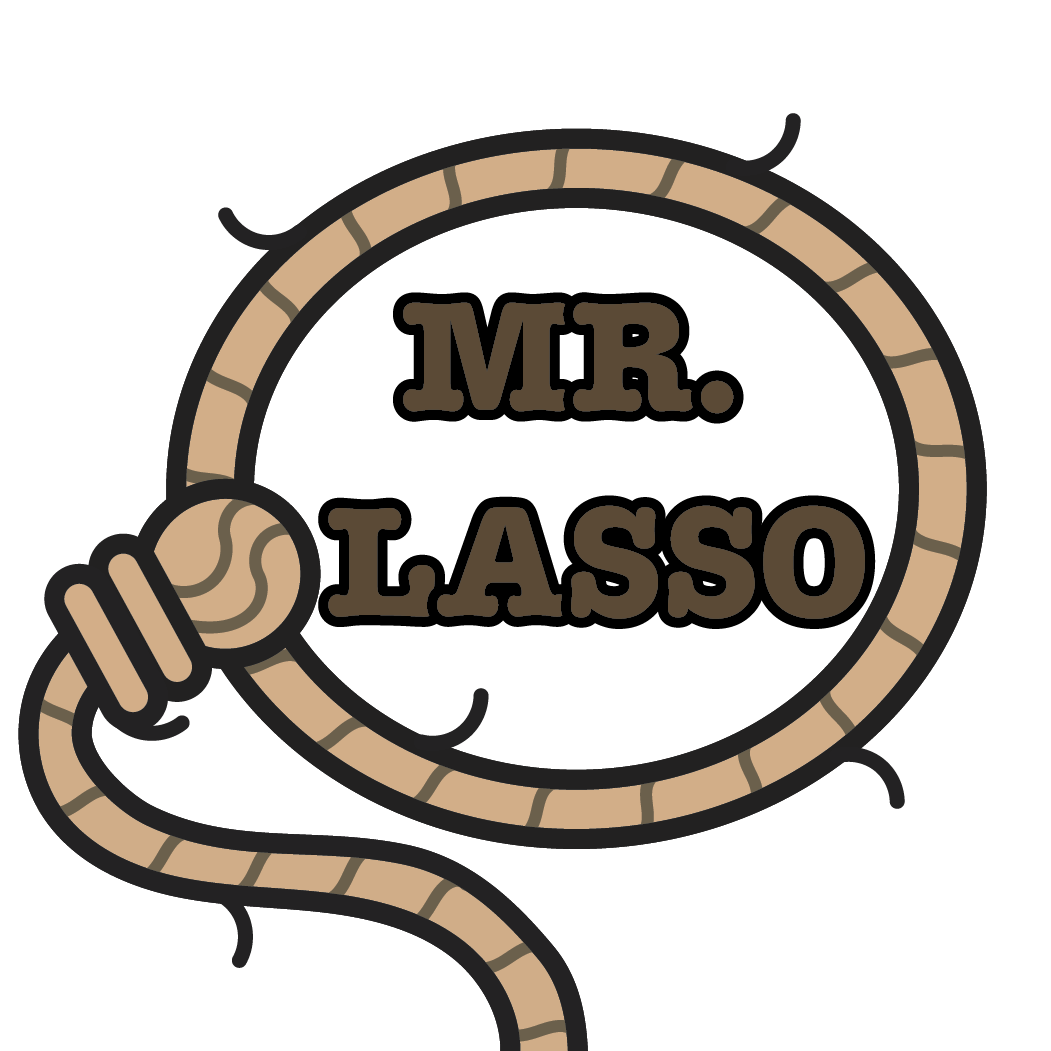 Cover image for Mr. Lasso