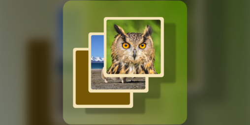 Cover image for Mind Cards