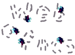 Web o' Flies