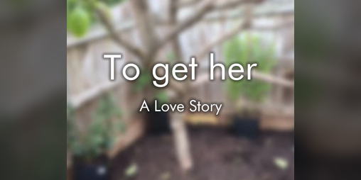 Cover image for To Get Her