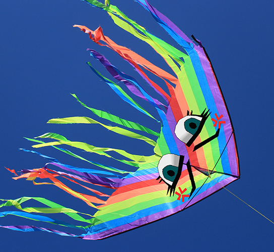 Cover image for Kite Boy: Ride the Wind