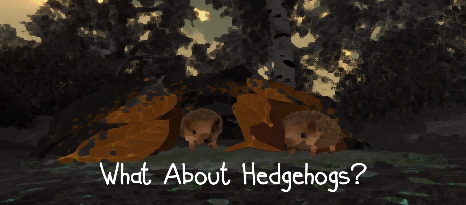 What About Hedgehogs?