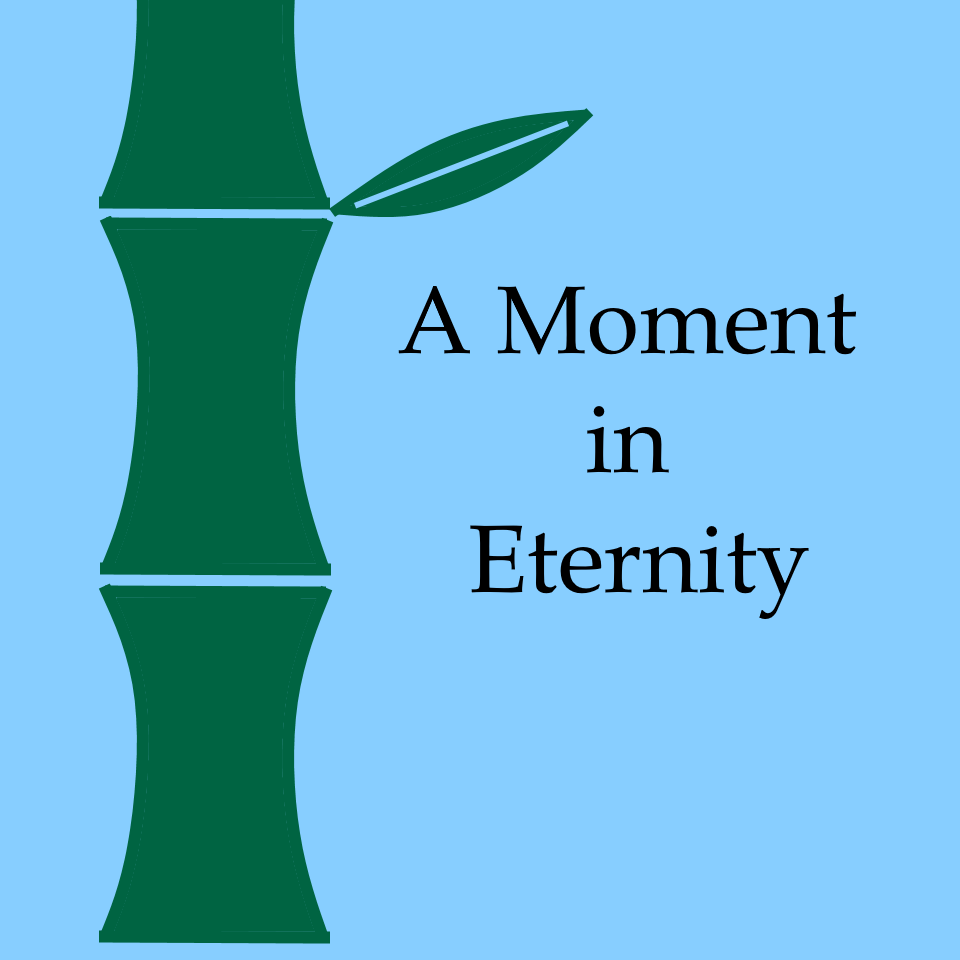 a-moment-in-eternity-by-rosedelio