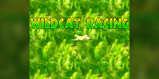 Cover image for Wildcat Racing
