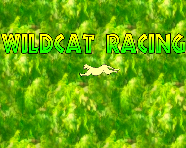Cover image for Wildcat Racing