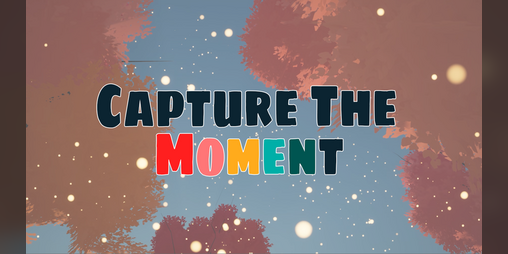 Cover image for Capture The Moment
