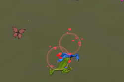 Explosive Frog Dating Simulator