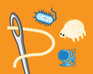Size and Scale Activity