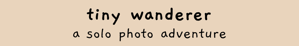 tiny wanderer