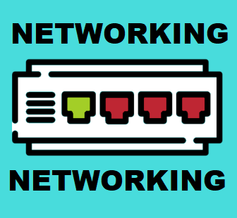 Cover image for Networking