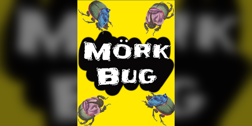 Cover image for Mörk Bug