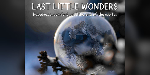 Cover image for Last Little Wonders