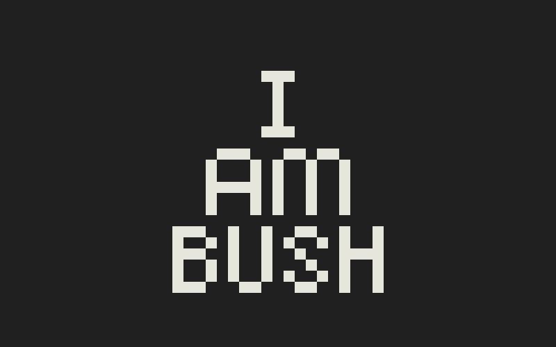 Cover image for I am Bush