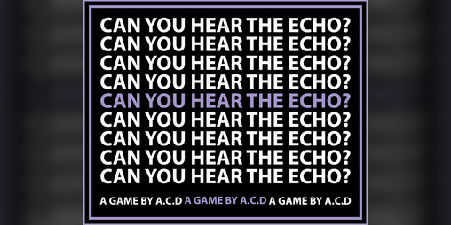 Cover image for CAN YOU HEAR THE ECHO?