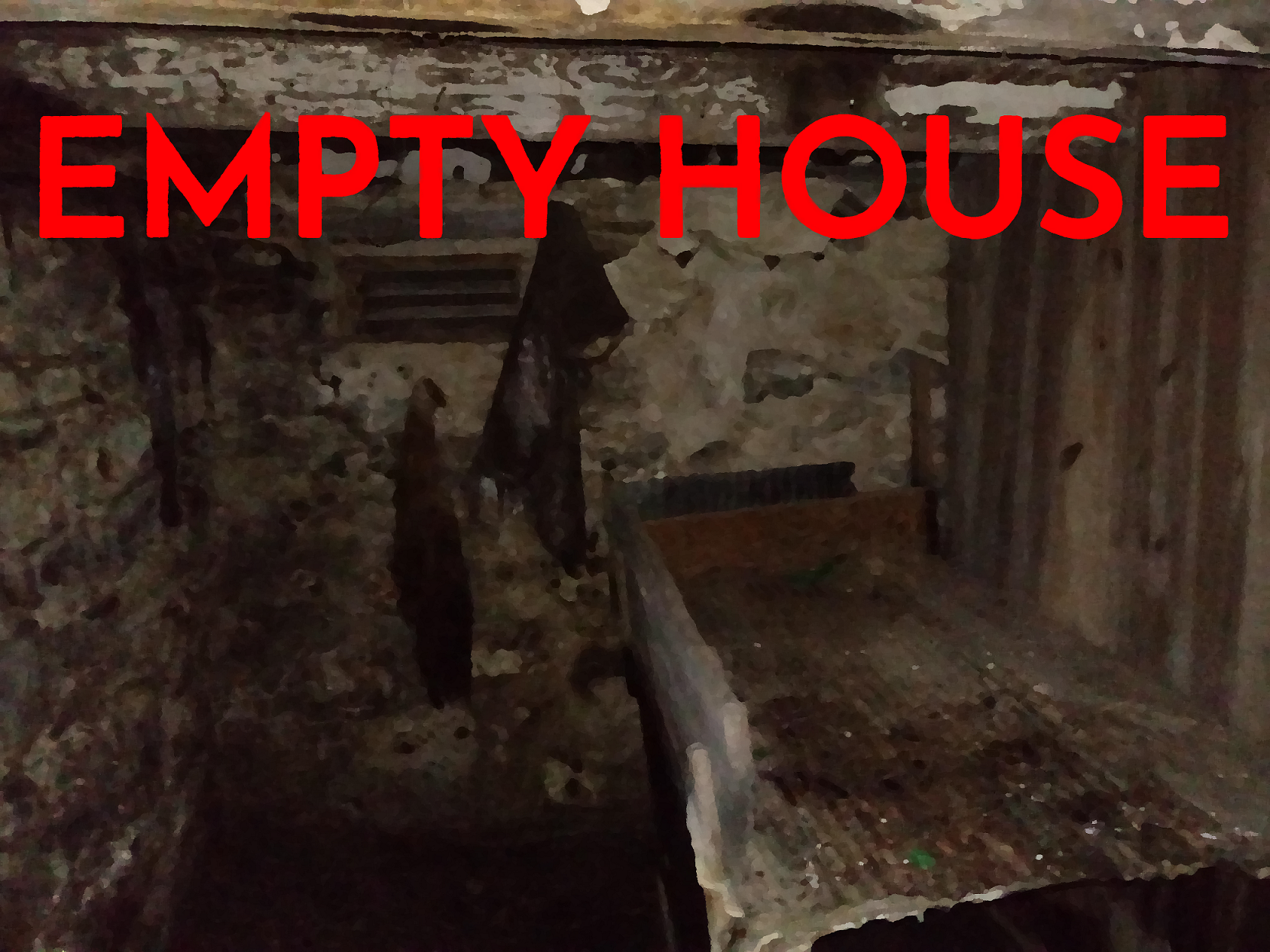 Cover image for Empty House