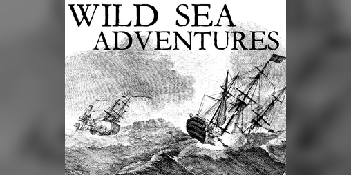 Cover image for Wild Sea Advenures