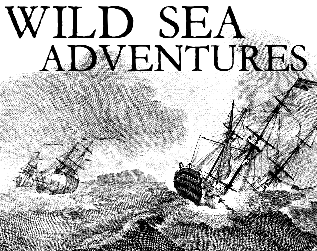 Cover image for Wild Sea Advenures
