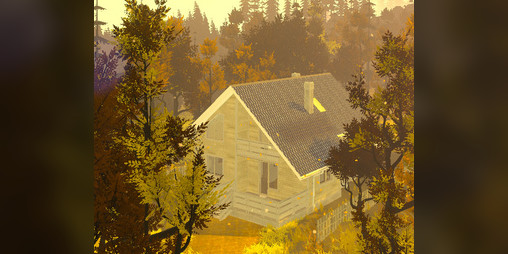 Cover image for Never Gone