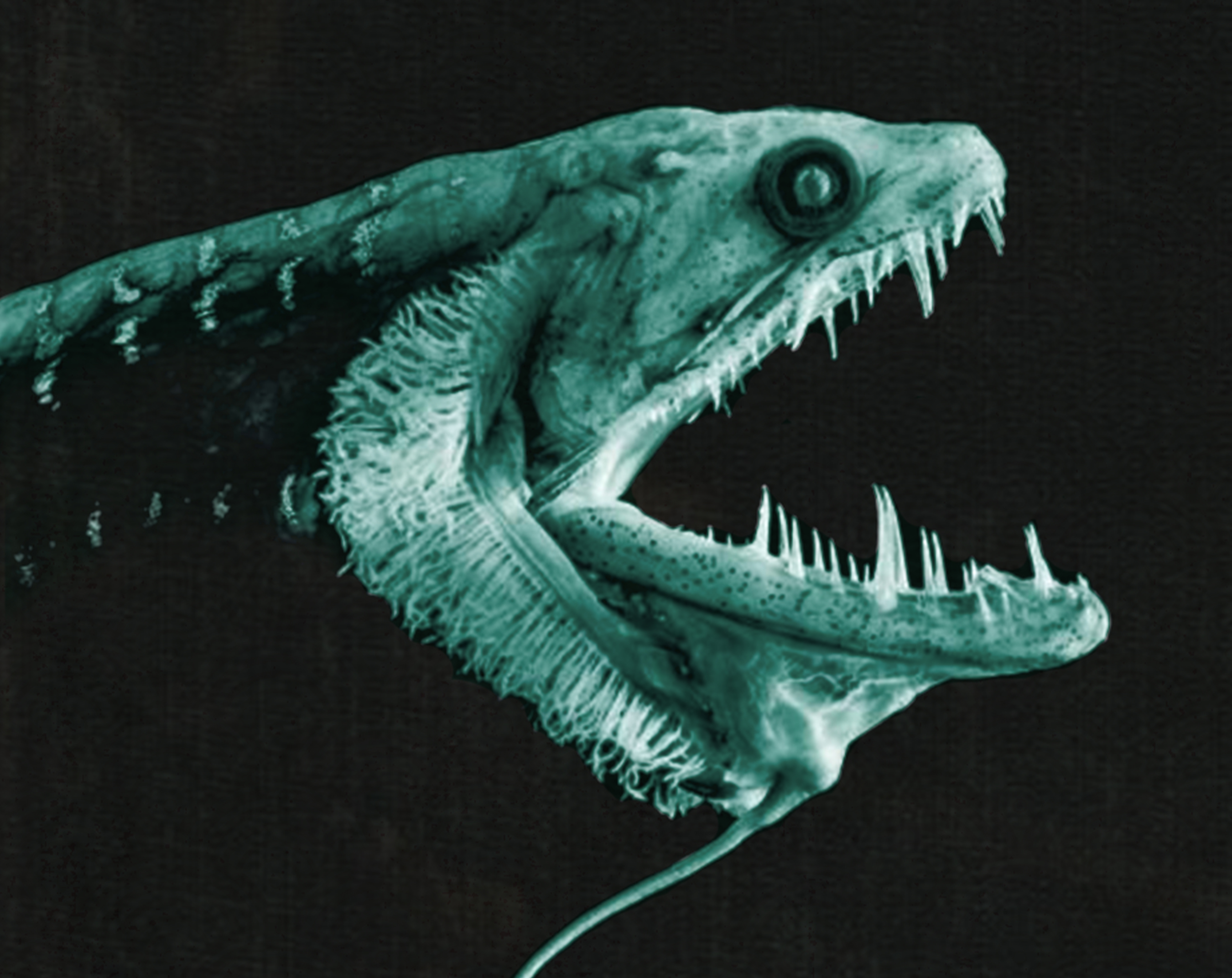 Cover image for Sunless Depths