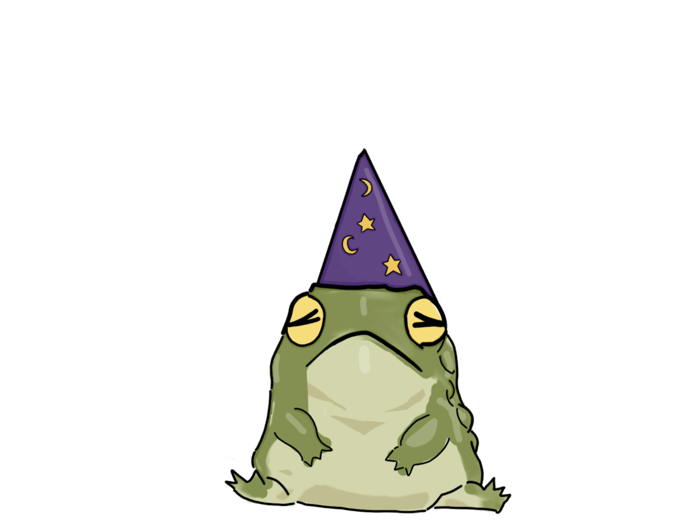 The Frog Wizard's Castle