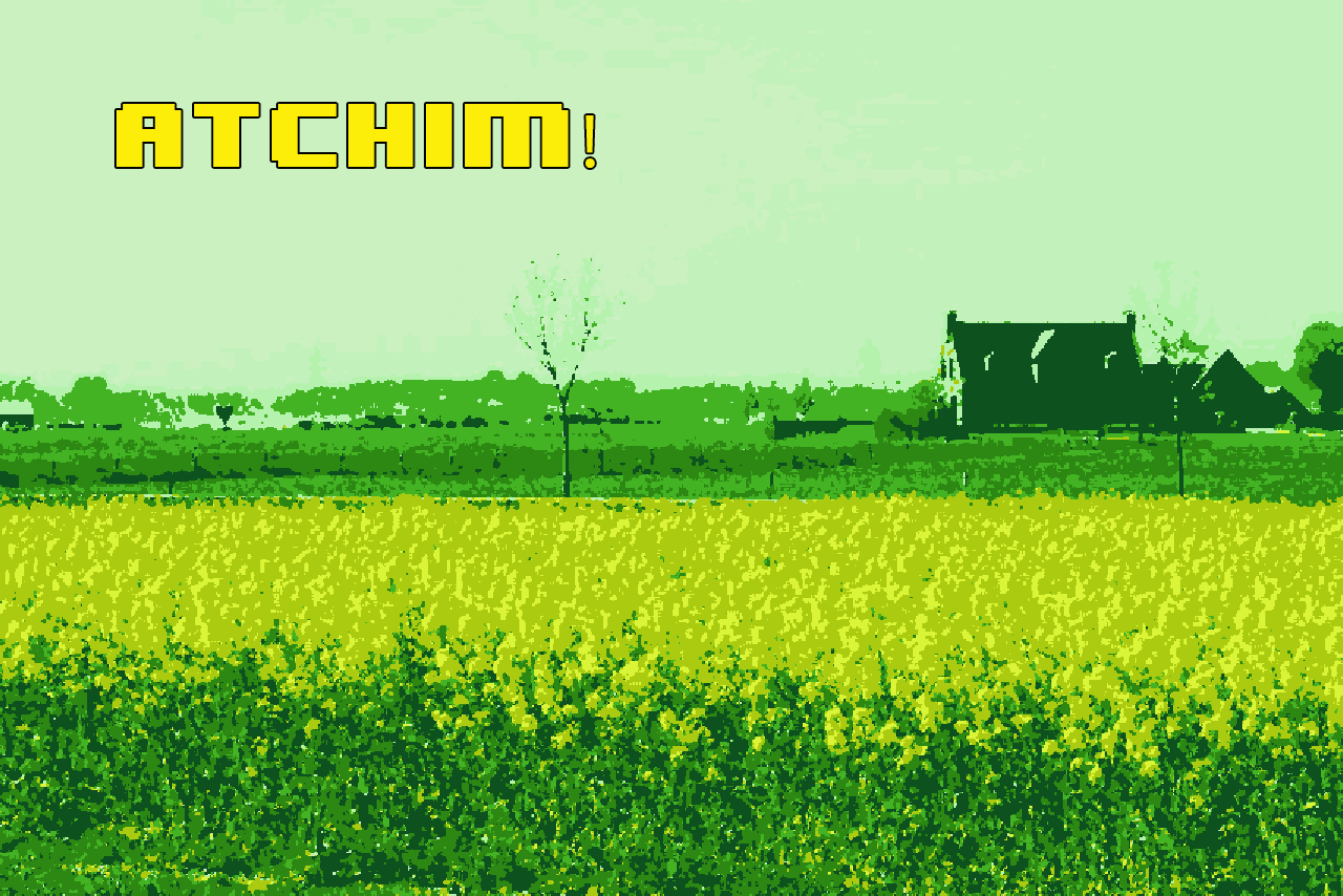 Cover image for ATCHIM!