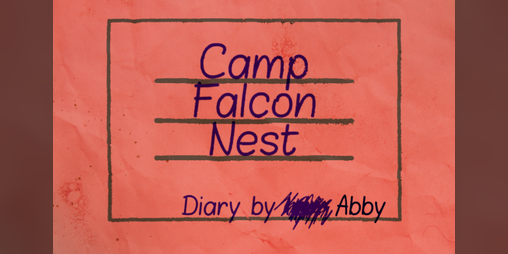 Cover image for Camp Falcon Nest