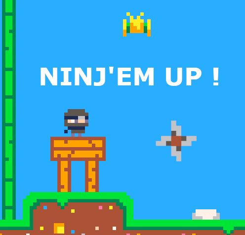 Cover image for NINJ'EM UP !