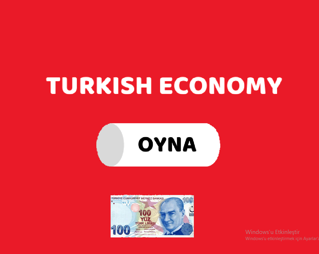 Cover image for TURKISH ECONOMY