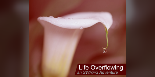 Cover image for Life Overflowing