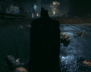 Batman In The House