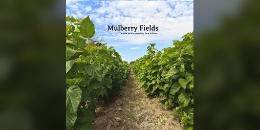 Cover image for Mulberry Fields