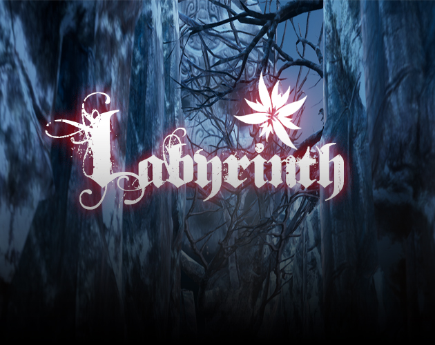 Cover image for Labyrinth