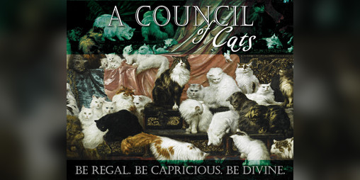 Cover image for A Council of Cats
