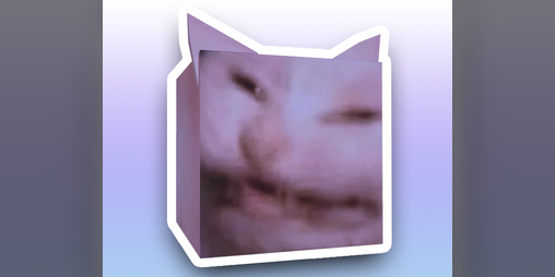 Cover image for the cat is not pogging
