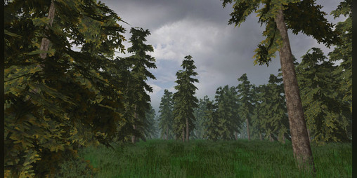 Cover image for Procedural Pine Tree Creation
