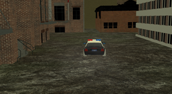 DUTY POLICE