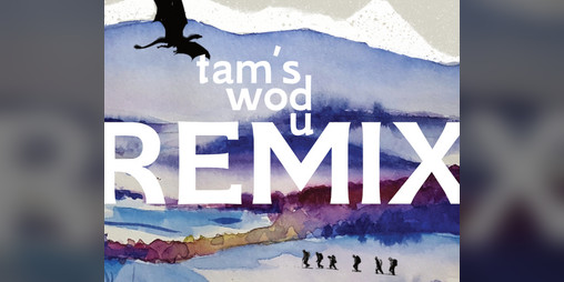 Cover image for Remix
