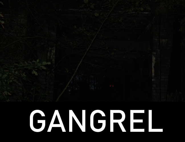 Cover image for Gangrel