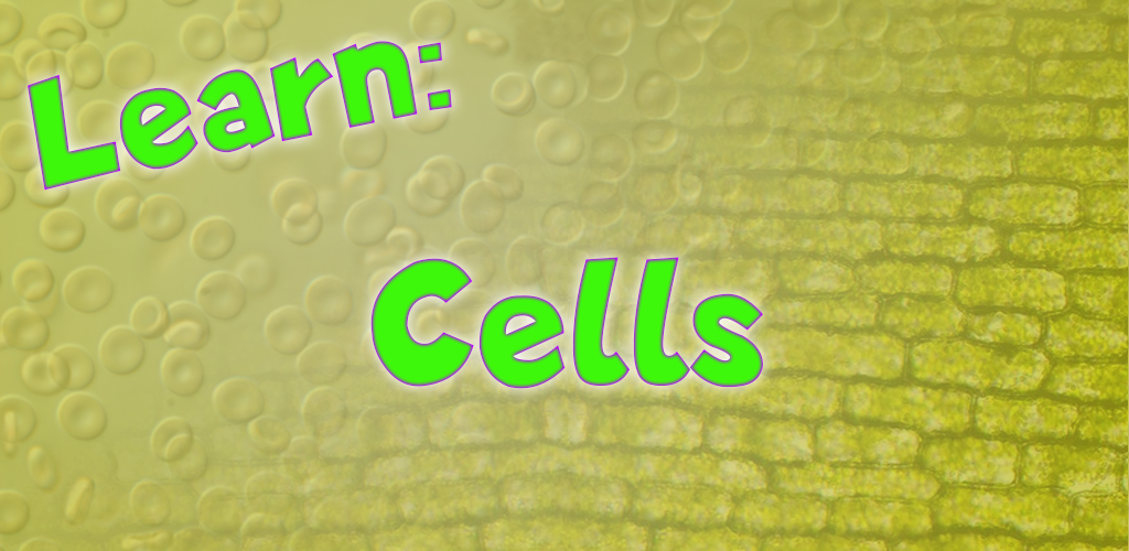 Learn: Cells