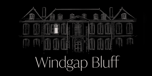 Cover image for Windgap Bluff
