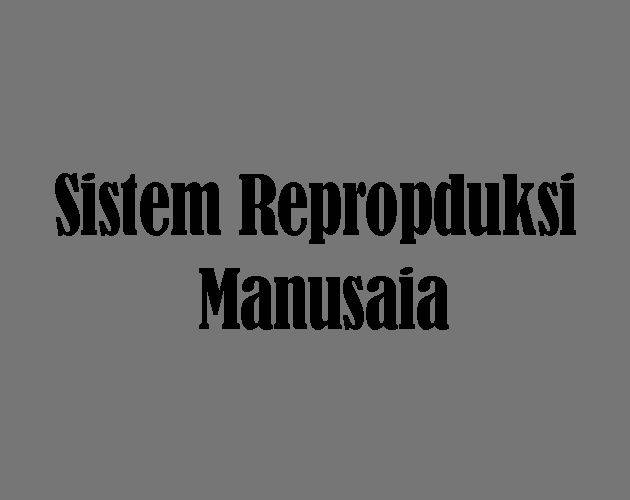 Sistem Reproduksi Manusia
