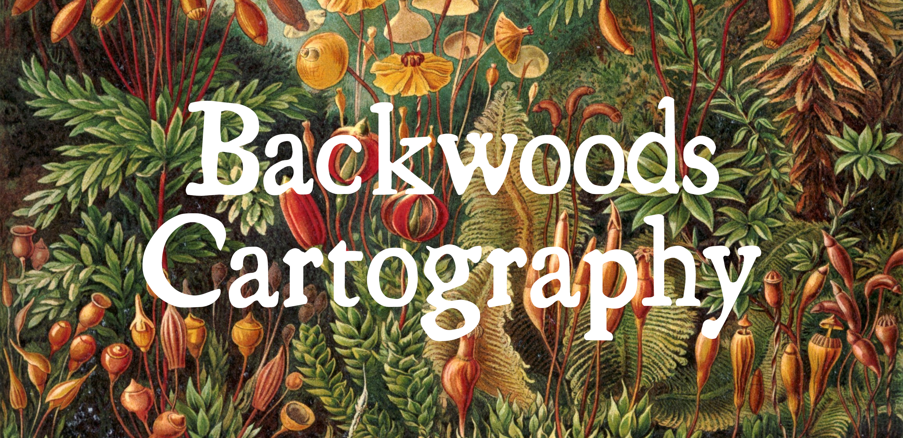 Backwoods Cartography