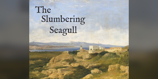 Cover image for The Slumbering Seagull