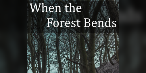 Cover image for Twisted Pocket Forest