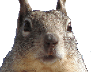 Squirrel Game Master Collection