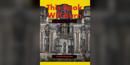 Cover image for This Book Will Burn