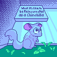 Cover image for What It's Like to be Reincarnated as a Chinchilla