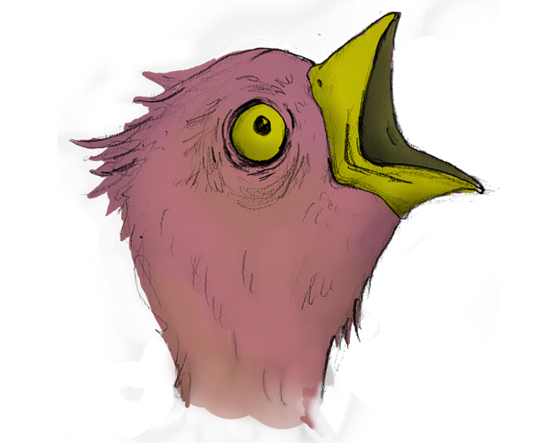 Hungry Bird