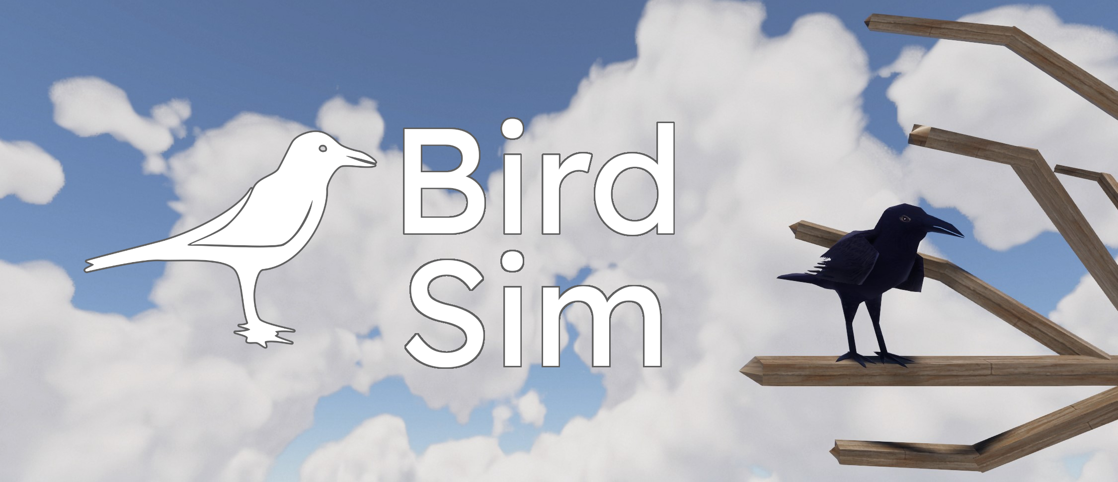 BirdSim