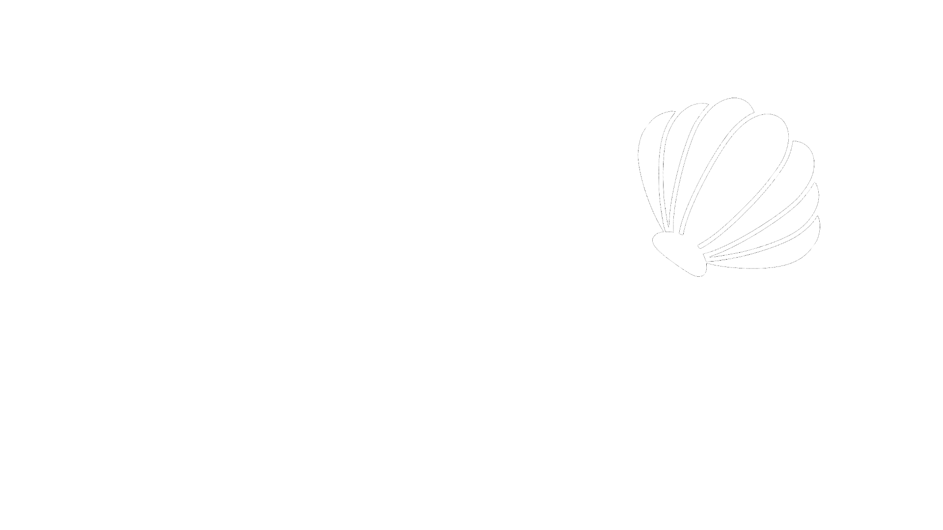 Shore Sweepers